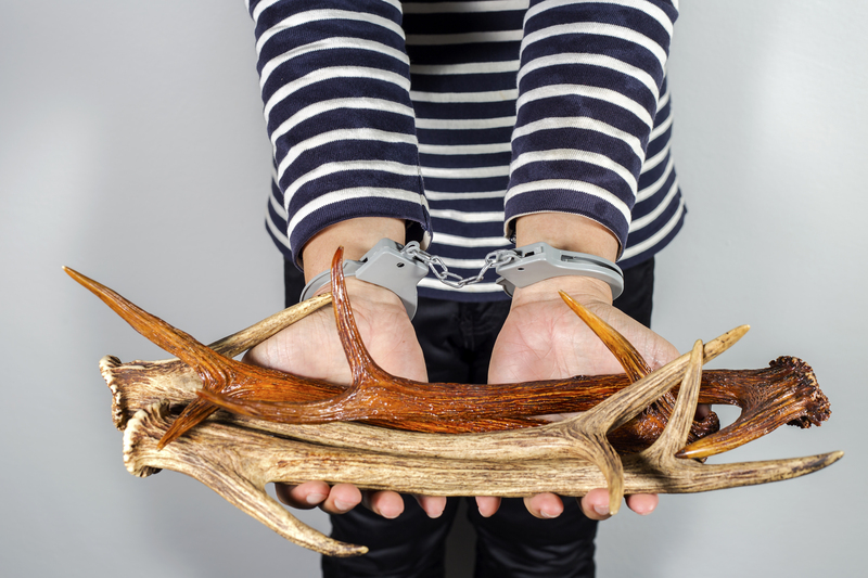 waste waste / plastic waste